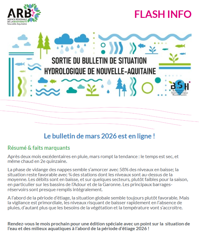 Capture d'écran 2026-04-10 164158.png