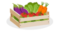 logo.png