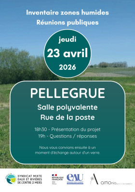 WhatsApp Image 2026-04-02 at 21.34.41.jpeg